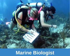 Scuba Diving in schools Marine Biologist