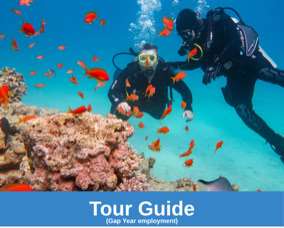 Scuba in Schools, become a tour guide during your gap year